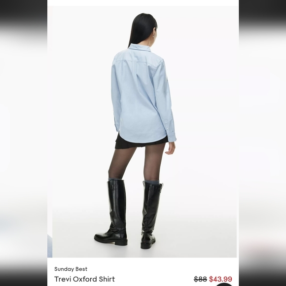 Aritzia Trevi Oxford Button up Shirt - Picture 2 of 4